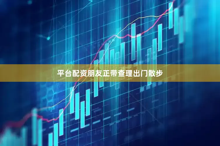 平台配资朋友正带查理出门散步